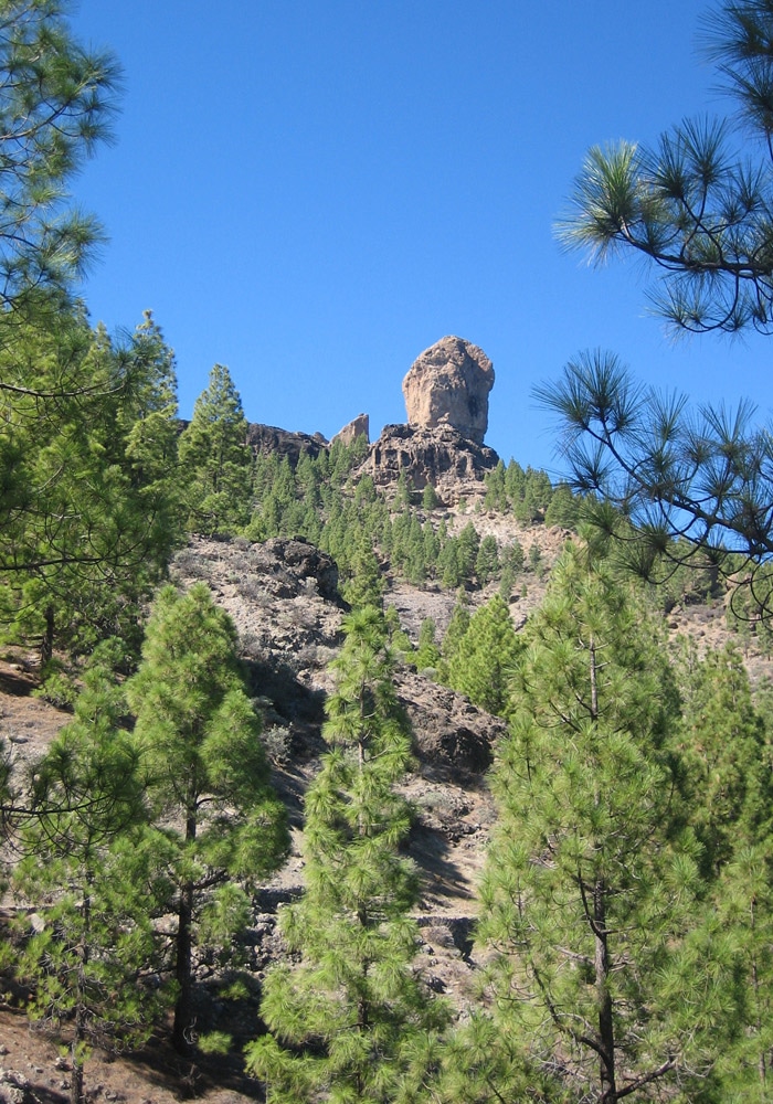 El Roque Nublo, desde el inicio del sendero