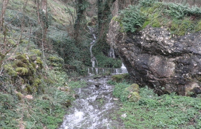 Regueiru de Cuovasil al final de la ruta del Castañal
