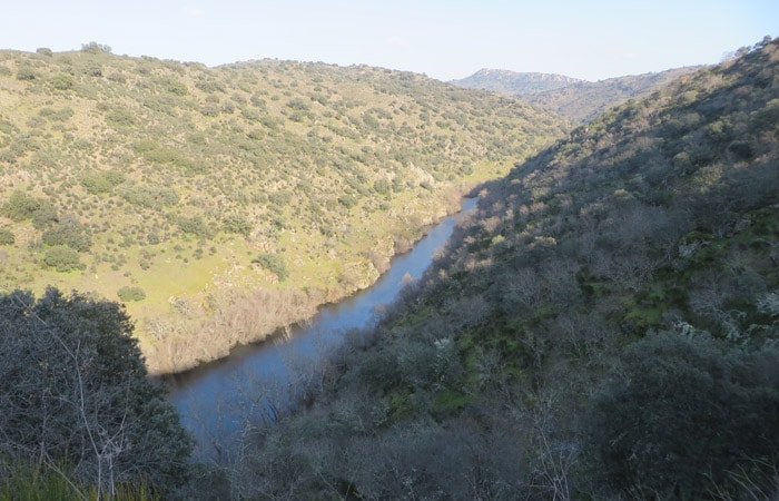 Vista del río Tormes antes de su desembocadura Ambasaguas