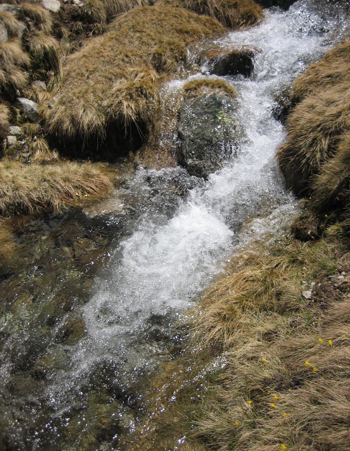 Agua procedente del deshielo Laguna Grande de Gredos