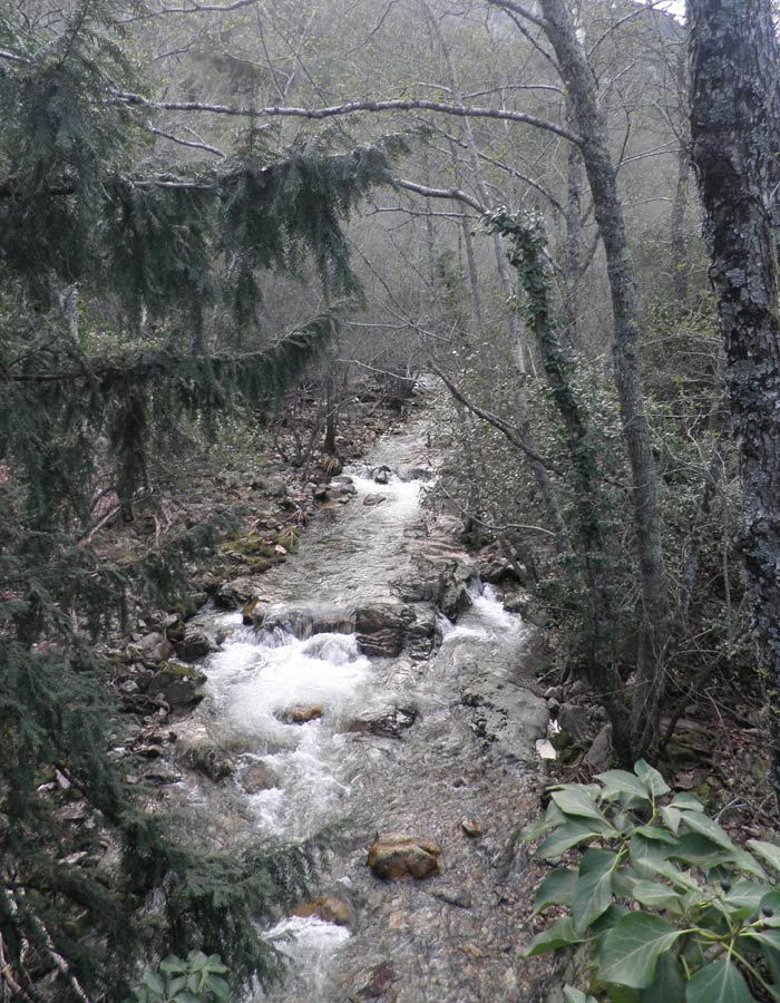 Arroyo Batuecas al inicio de la ruta Cascada del Chorro