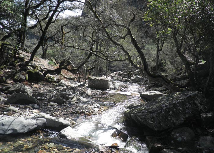 Lugar en el que se atraviesa por unas piedras el Arroyo Batuecas Cascada del Chorro