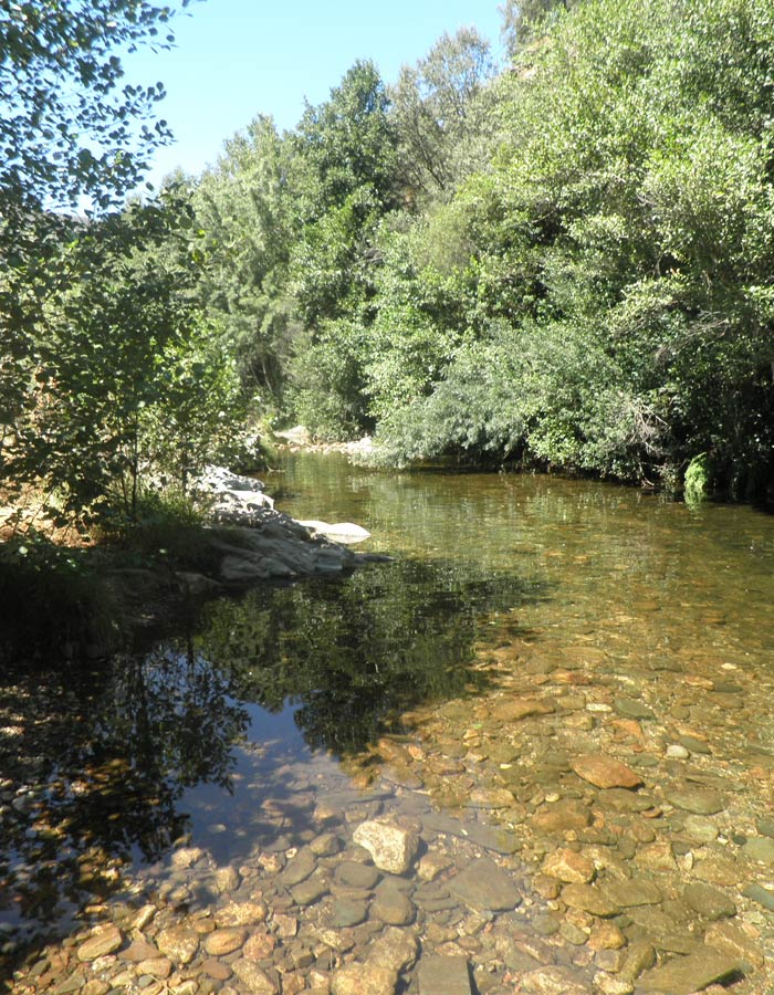 Alrededores de la piscina natural de Las Mestas en el rio Ladrillar