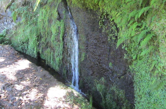 Levada de Rabaçal levada das 25 fontes