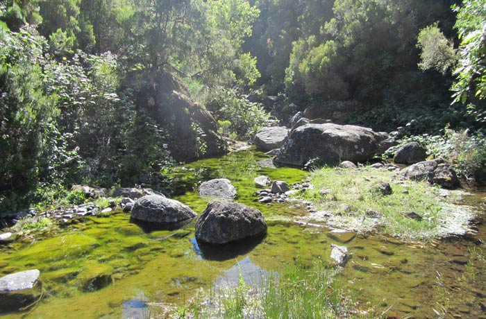 Manantial al inicio de la ruta levada das 25 fontes