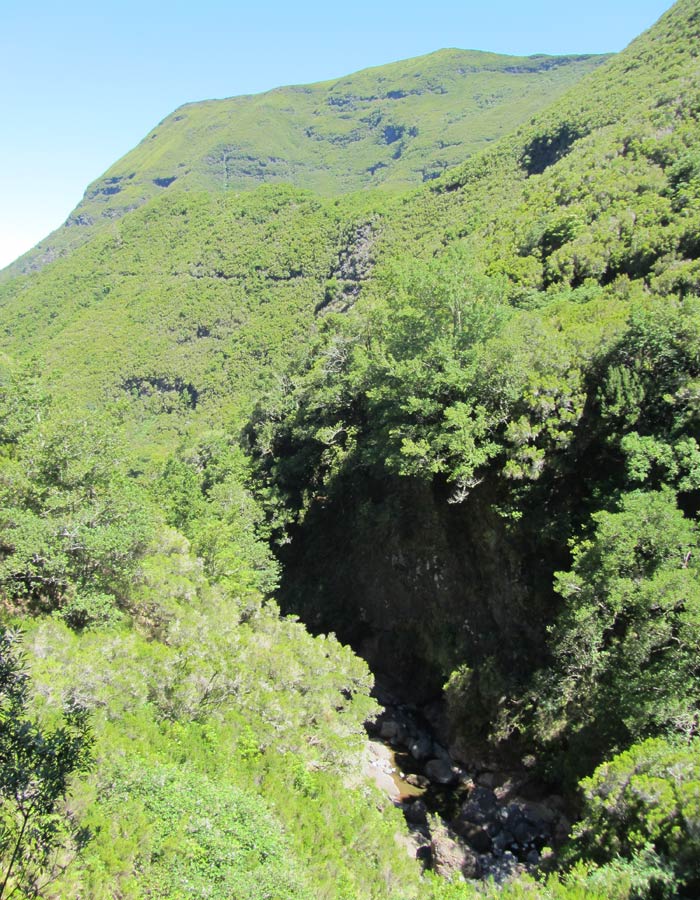 Monte verde de Madeira levada das 25 fontes