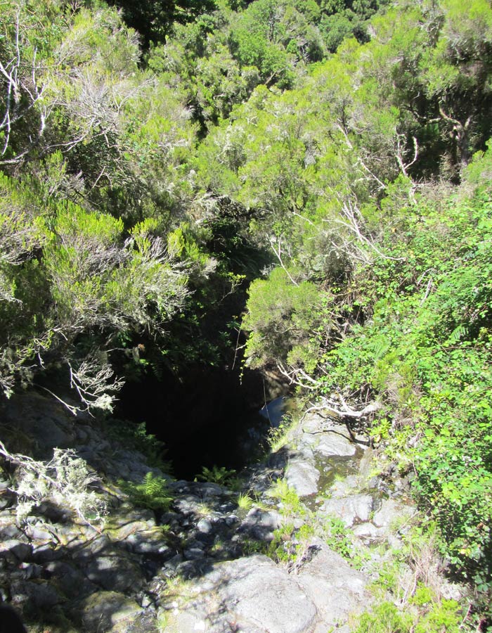 Ribeira dos Cedros levada das 25 fontes