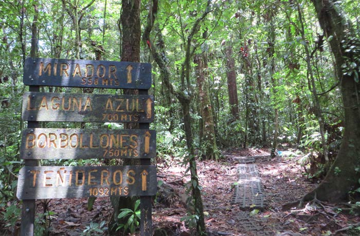 Indicaciones en el sendero tras la visita a la catarata de Río Celeste