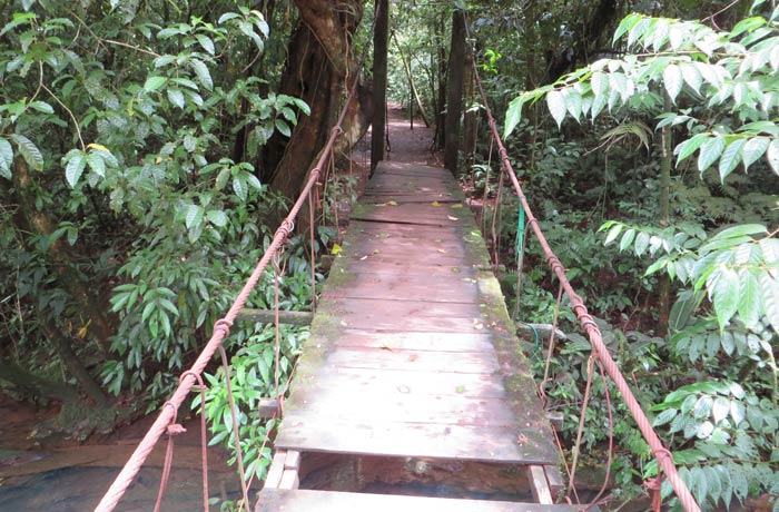 Puente Misterio del Tenorio que hay que atravesar rumbo a los teñideros Río Celeste