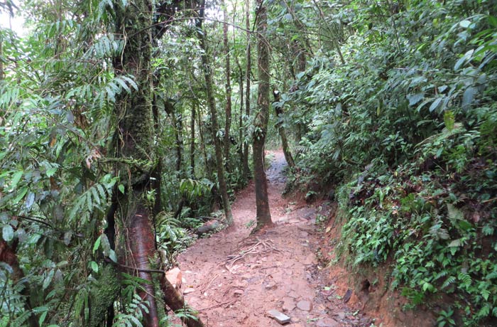 Sendero embarrado por el que hay que transitar Río Celeste