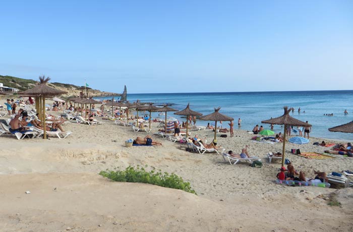 Sombrillas y hamacas en Caló des Mort Playas de Formentera