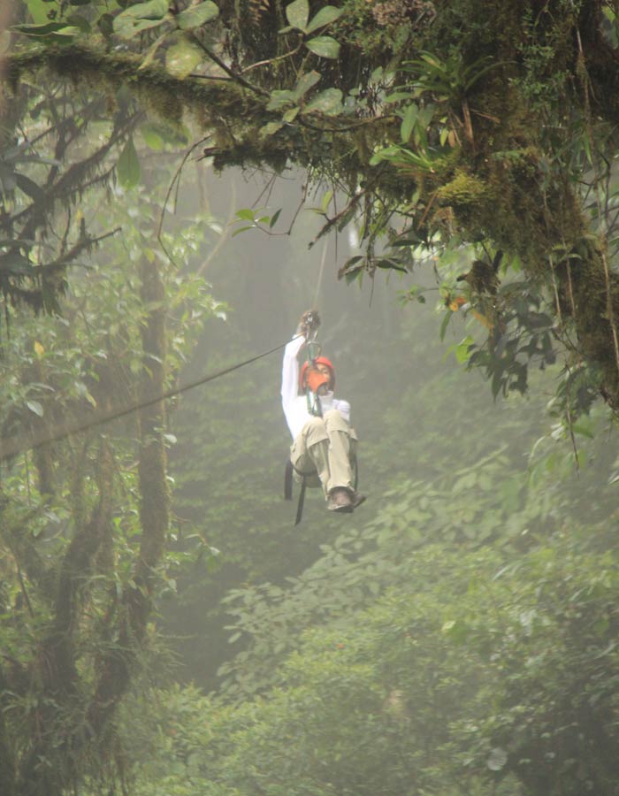 canopy que hacer en Monteverde