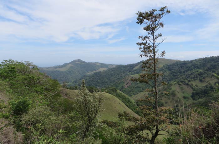 Paisaje de camino a Monteverde