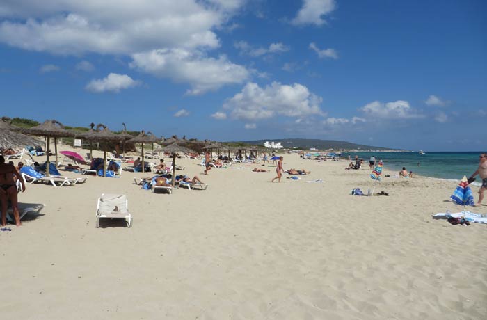 Hamacas y sombrillas en la playa de Migjorn Playas de Formentera