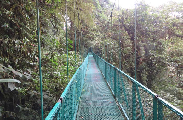 Uno de los puentes colgantes de la ruta qué hacer en Monteverde
