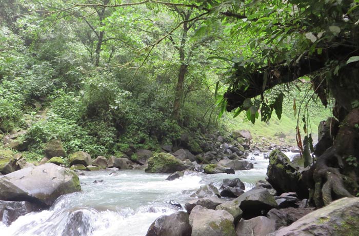 Alrededores de la base de la catarata La Fortuna