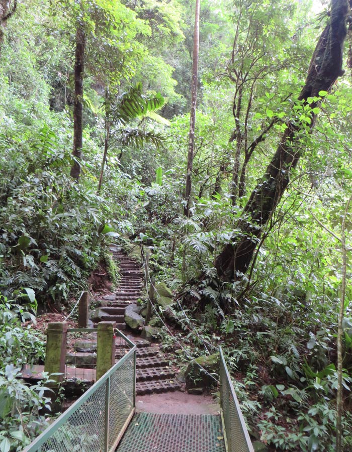 Camino hacia la catarata La Fortuna
