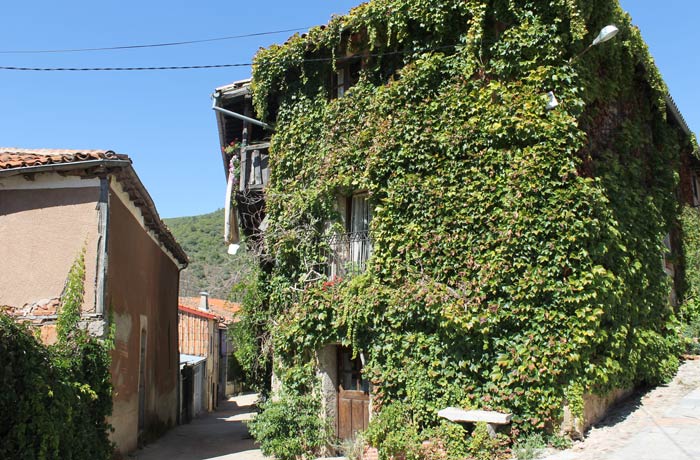 Casa cubierta por hiedra en San Esteban de la Sierra senderismo en Salamanca Miradores de las Sierras
