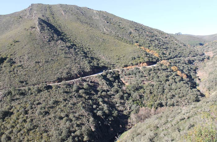 Vista de la carretera que uno las Puentes del Alagón con Valero Camino de los Trasiegos