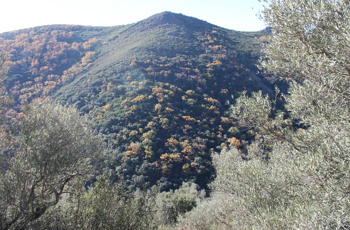 Paisaje al inicio del Camino de los Trasiegos