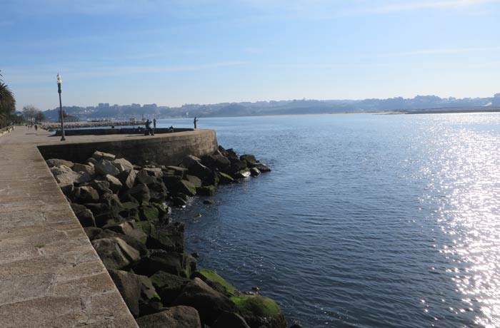 Paseo junto al Jardim do Passeio Alegre desembocadura del Duero