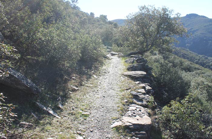 Sendero del primer tramo del Camino de los Trasiegos
