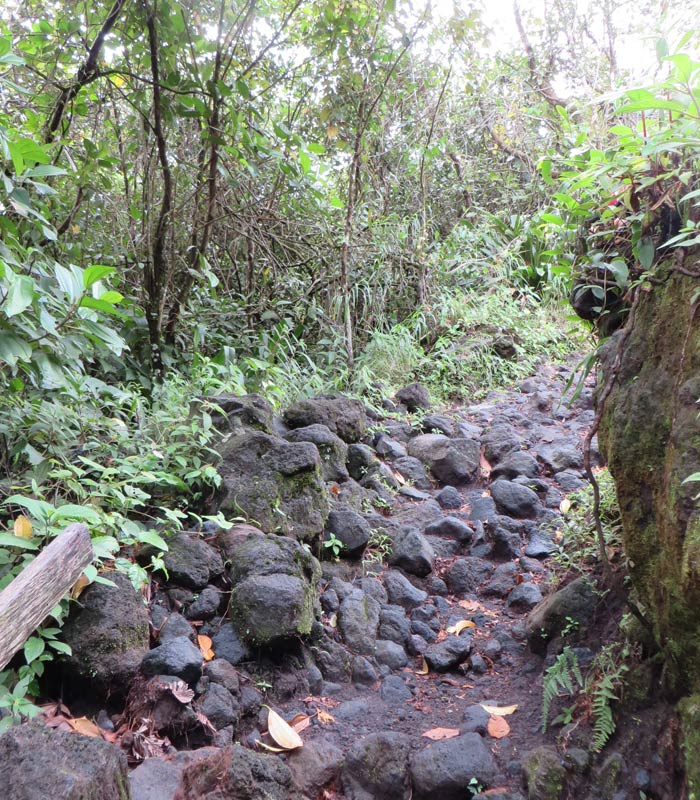 Último tramo del sendero de las Coladas donde hay que caminar por la lava Volcán Arenal