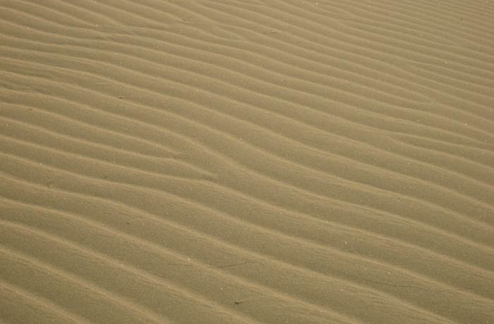 Detalle de los surcos en la arena de las Dunas de Maspalomas
