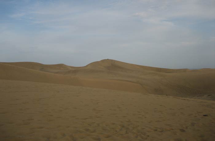 Paisaje del desierto de las Dunas de Maspalomas