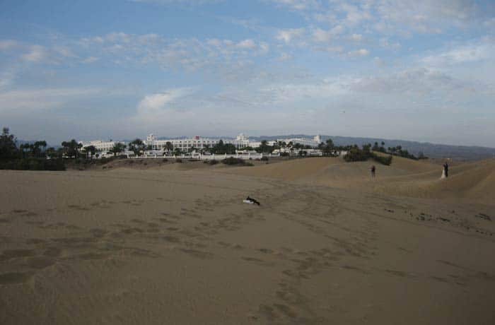 Unos novios haciéndose el álbum de bodas en las dunas y al fondo del hotel Riu Maspalomas