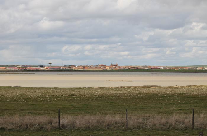 Laguna Grande de Villafáfila vista desde el observatorio de Otero de Sariegos