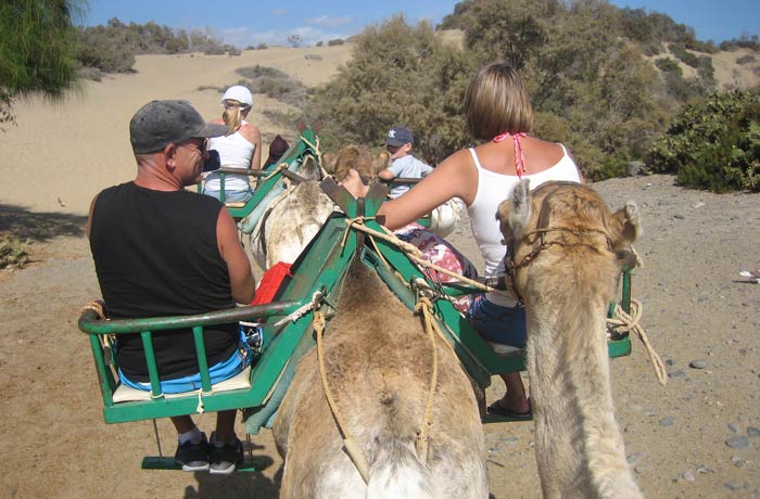 Paseo en dromedario por las Dunas de Maspalomas