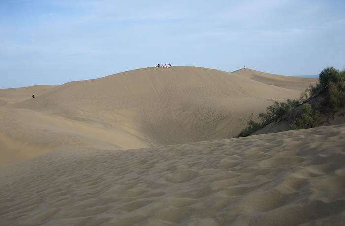 Un grupo de turistas en lo alto de una de las Dunas de Maspalomas