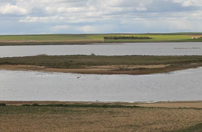 Vista de la Laguna Grande de Villafáfila