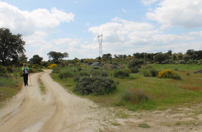 Lugar en el que se deja el tramo común con la Senda del Duero y se continúa la ruta hacia la carretera