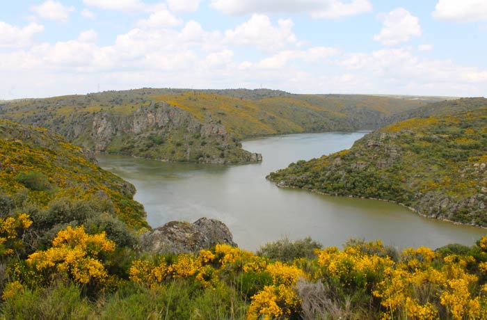 Desembocadura del Esla