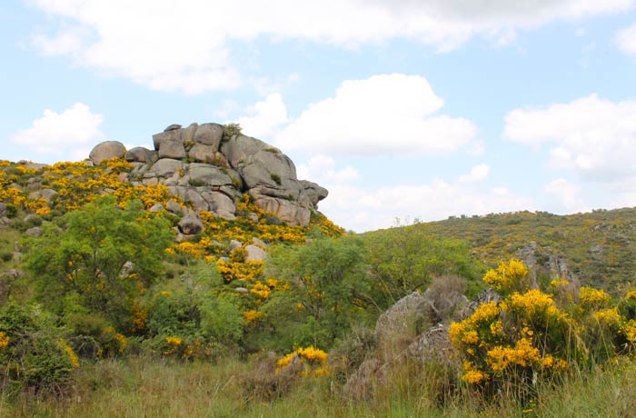 Rocas con formas caprichosas en la ruta Cascada de Abelón