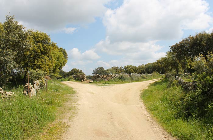 Segunda bifurcación donde se toma el camino de la izquierda Cascada de Abelón