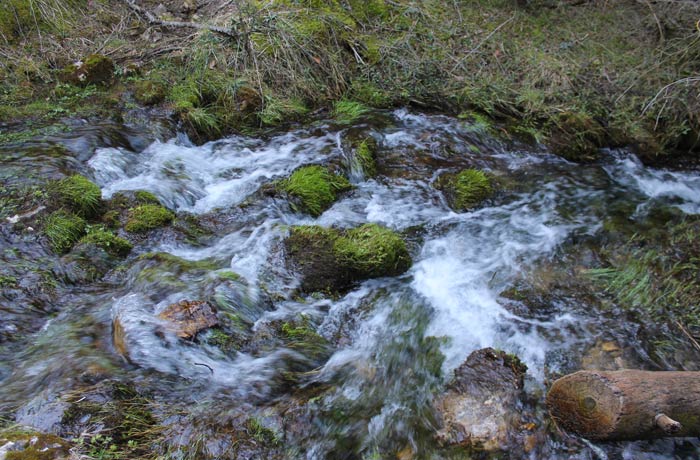 Bella estampa del agua corriendo tres el musgo de las rocas