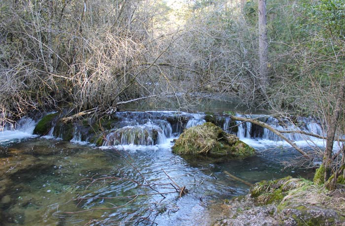 Una de las imágenes que depara los primeros pasos del río Cuervo