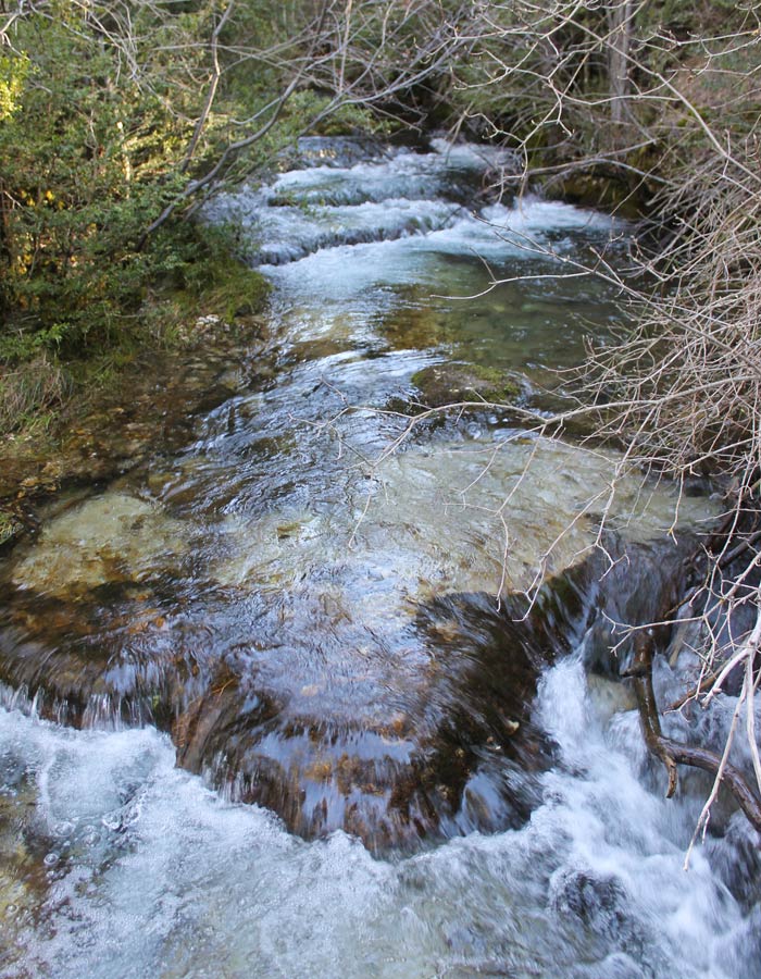 Caudal del río Cuervo