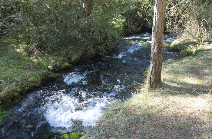 El curso del río Cuervo, al poco de nacer