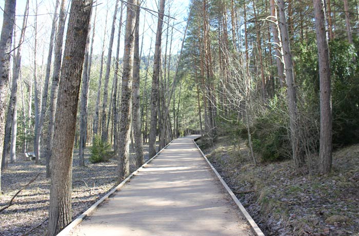 Inicio del sendero que lleva a la cascada del nacimiento del río Cuervo