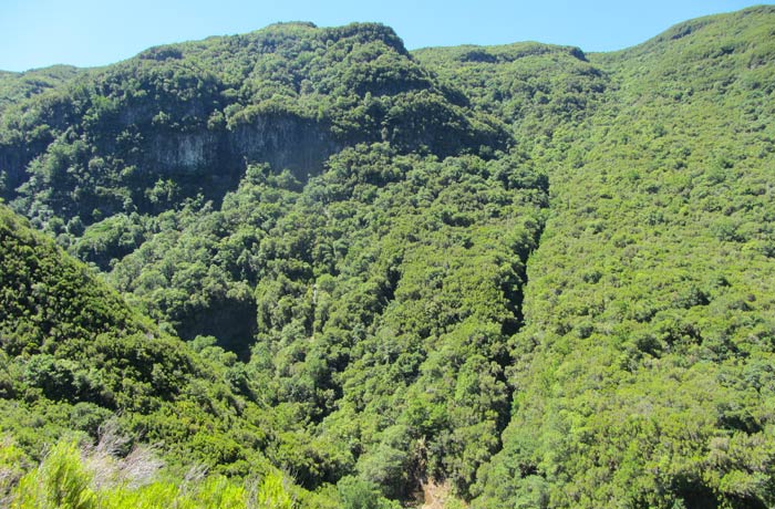 Paisaje típico madeirense en la ruta de la Levada das 25 Fontes Una semana en Madeira
