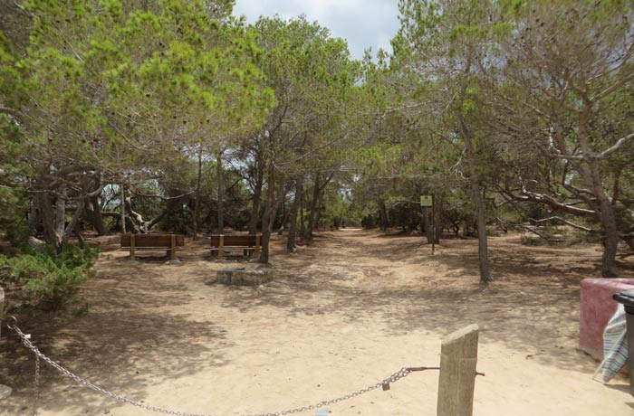 Reserva de Can Marroig que ver en Formentera