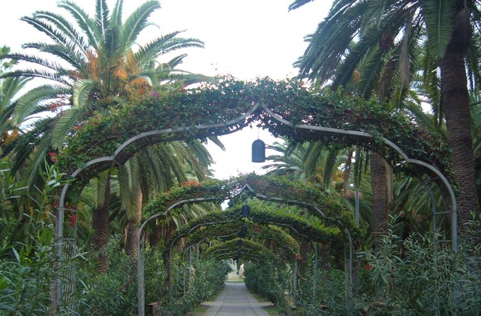 Parque García Sanabria qué ver en Tenerife