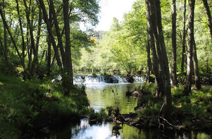 Pesquera en el río Coa ruta en Sabugal
