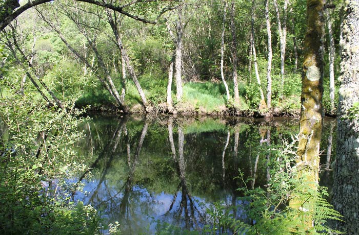 Ribera del río Coa ruta en Sabugal