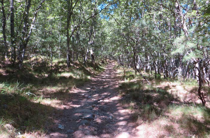 Sendero de la Cascada de Sotillo en su parte inicial