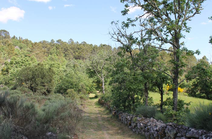 Vista del sendero de los Meandros del río Coa ruta en Sabugal